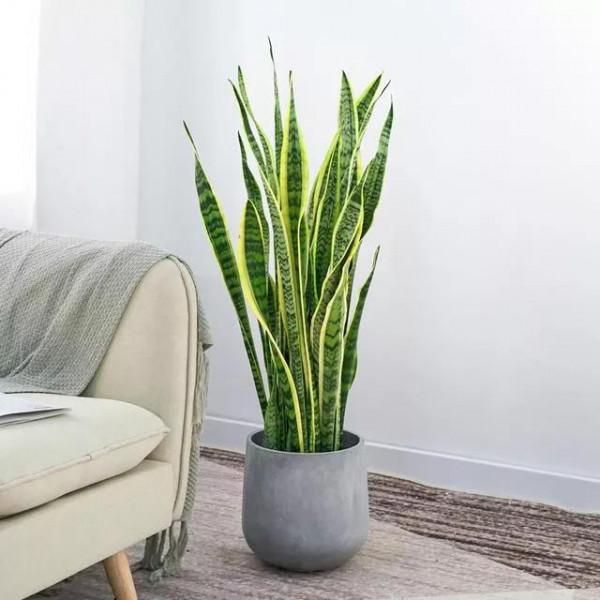 探家記|守住轉角處的小幸福 探家記|守住轉角處的小幸福