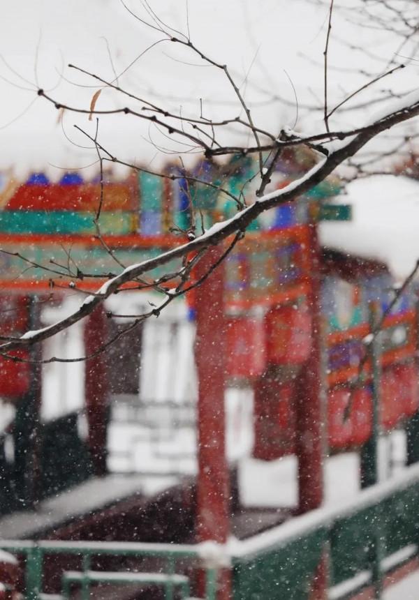 「雪後美景」想把“熱河行宮的冬”送給你