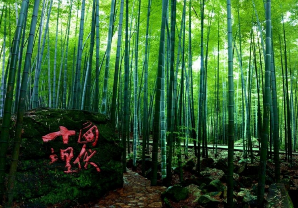 神秘竹海究竟有多美？新《誅仙》手遊再現茂林修竹