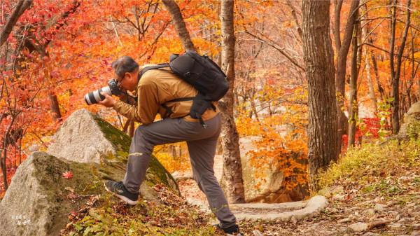本溪有一個可以自駕遊覽的景區，觀賞紅葉絕美，今年秋天不能錯過