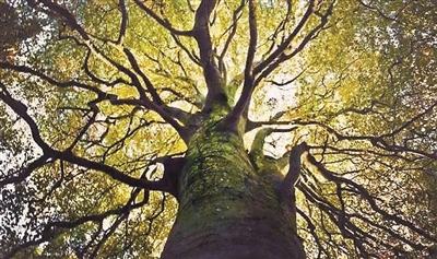 我們需要這些好孩子 我們需要這些好孩子