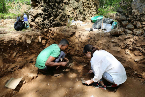 南越王博物院上新：元旦假期去看絲路“天馬”圖片展