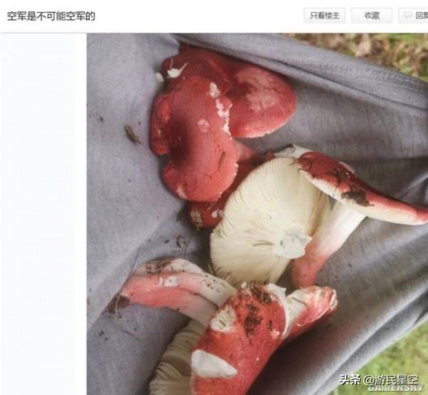 釣魚吧老哥,除了釣魚啥都會 釣魚吧老哥,除了釣魚啥都會