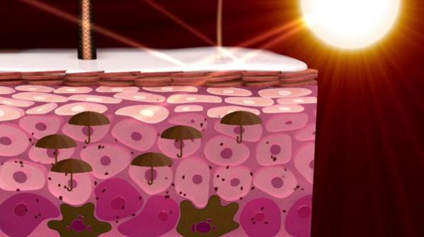 為什麼和黑人生的孩子基本都是黑色的？黑種人的基因到底有多強？