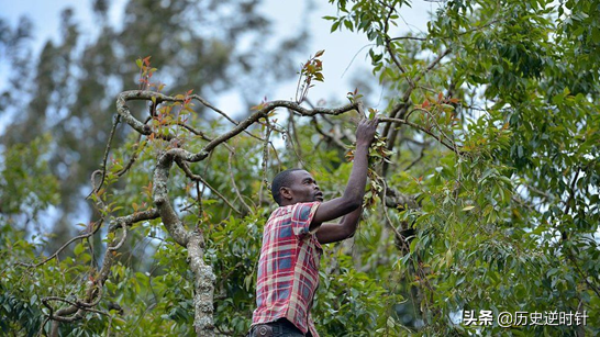 葉門：一個被人遺忘的國家，正在&quot;嚼死&quot;自己