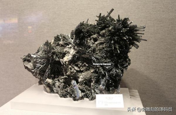 貴州地質博物館內的那些珍惜礦石（化石）、寶石你最喜歡那一塊？