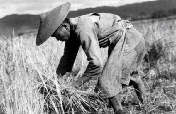 抗戰時期種田的農民，生活相對要好？原來前3年和後5年有天壤之別