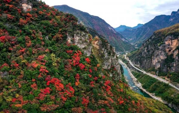 彩林之秋 | 觀山觀水觀紅葉,來旺蒼尋“醉”美秋色~ 彩林之秋 | 觀山觀水觀紅葉,來旺蒼尋“醉”美秋色~
