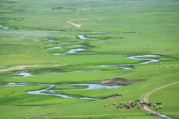 美妙夏日，世界四大草原之一，最好吃的羊肉，錫林郭勒自駕攻略