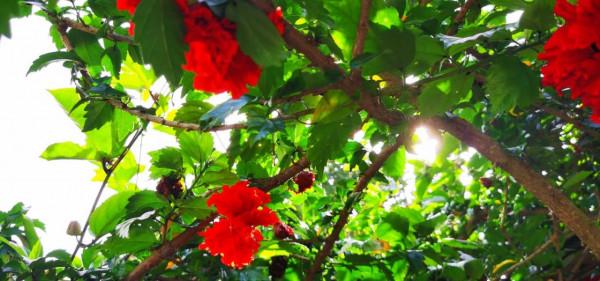 姐妹們的北海之旅