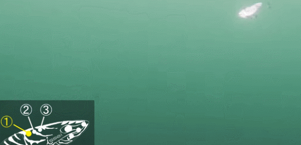 「漁具資訊」「issei」AME VIB