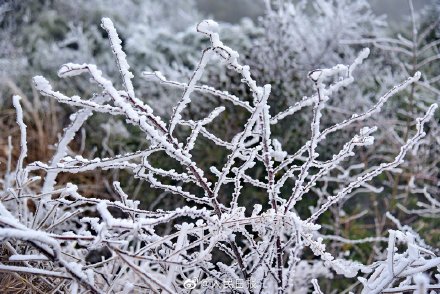 請收好全國賞霧凇地圖
