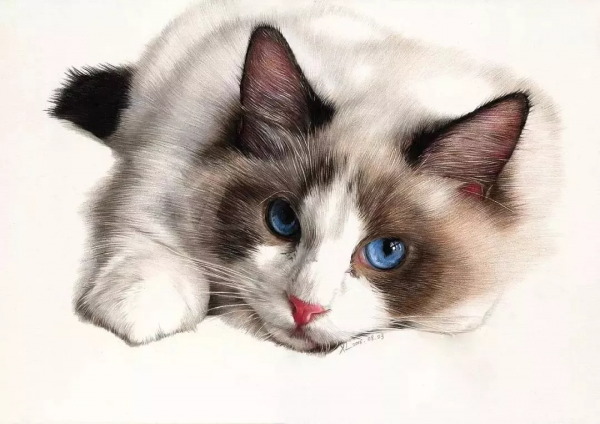 清華美院男神，被稱彩鉛界“冷軍”！他筆下的美少女令人牽魂夢繞