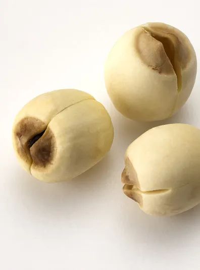 不止好吃那麼簡單!這三種養胃“鮮藥”你用對了嗎? 不止好吃那麼簡單!這三種養胃“鮮藥”你用對了嗎?