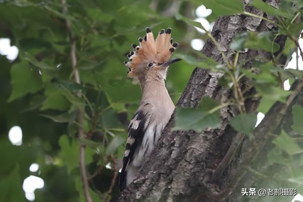展現自己的美麗看心情