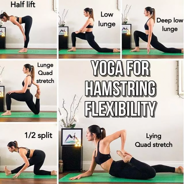 哈他瑜伽序列編排技巧，另附25個經典序列圖解，收藏級