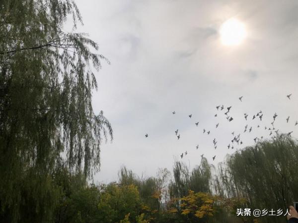 明日天赦,老人說:明日是“天赦有恩德,南馬回頭望”,啥意思? 明日天赦,老人說:明日是“天赦有恩德,南馬回頭望”,啥意思?