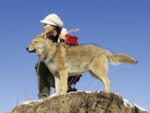 李微漪&quot;中國第一狼女&quot;：十年前賣房救狼養狼，十年後與狼再次相逢