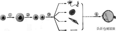 2021廣東中考生物試題