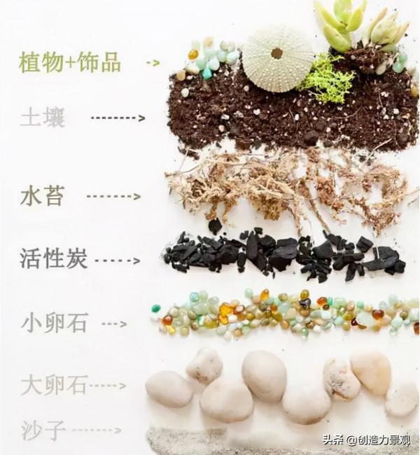 把大自然裝進瓶子裡，種在瓶子裡的微景觀究竟有多美？