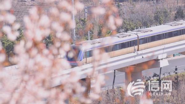 青島地鐵11號線有多美 沿途景點攻略教你拍出大片