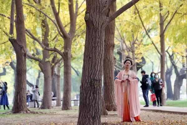 最愛北京，金秋如畫