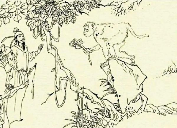 民間故事：員外救了猴子，猴子朝懷孕小妾呲牙，員外全家逃過一劫