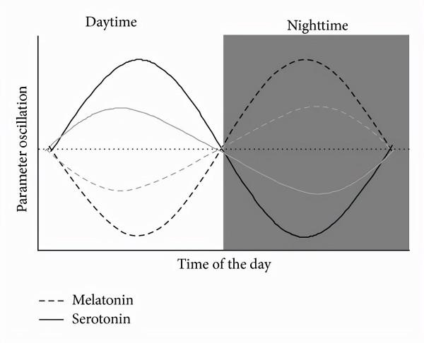 睡眠 | 我為什麼要早睡早起? 睡眠 | 我為什麼要早睡早起?