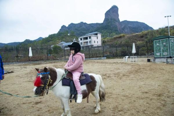 溫暖過年嘉遊贛 &vert; 【虎年添&OpenCurlyDoubleQuote;福&rdquo;氣！】春節怎麼玩？賽石城&CenterDot;花樂園給你不一樣的春節體驗~