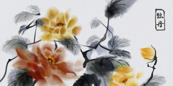 供血不足導致的頭暈和失眠，常喝這種水可改善 | 廚房裡的中醫妙招