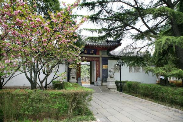 在趵突泉除了看菊展，還能看這兩位大家的畫展