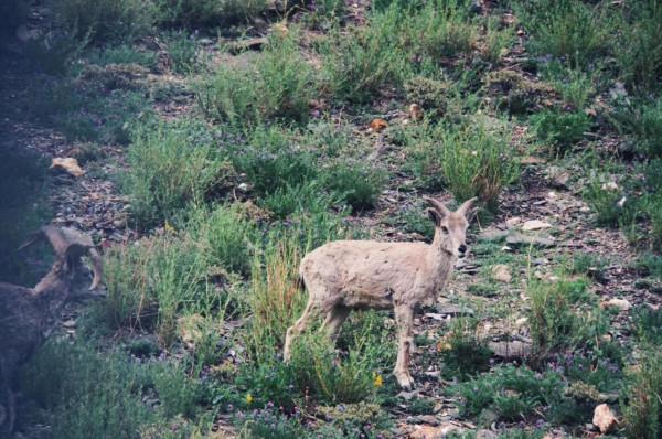 快樂的三個層次，你在哪個層次呢