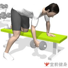 健身房一週4練健身計劃（初級）