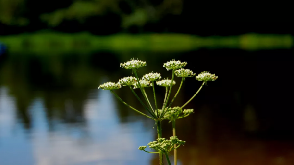 人生匆忙,不必慌張 人生匆忙,不必慌張