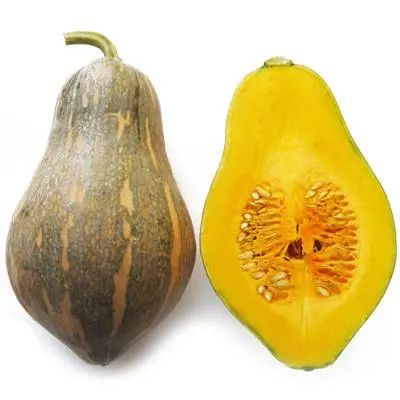 香芋味的南瓜,如何栽培? 香芋味的南瓜,如何栽培?