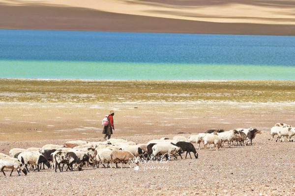 西藏無人區深處的村莊,能體驗藏區生活,宛如世外桃源的清靜之地 西藏無人區深處的村莊,能體驗藏區生活,宛如世外桃源的清靜之地