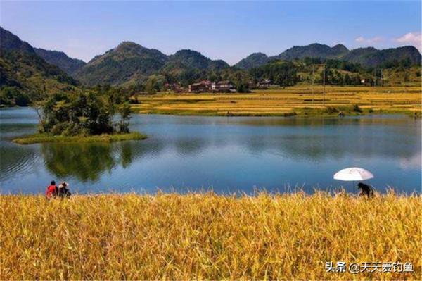 秋季可以釣淵也可以釣邊，但是釣邊難度更大，套路得當方能爆護