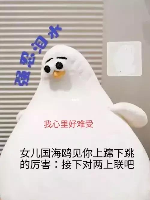 “海鷗”還得倩偶老代筆替你對是吧（1）