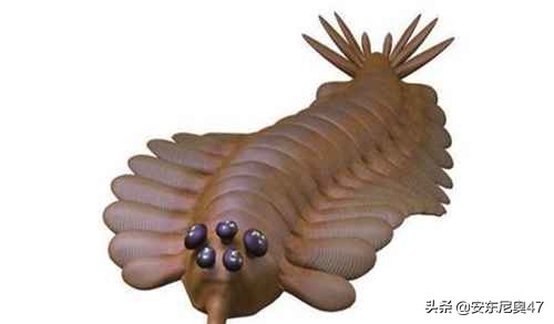 寒武紀生物介紹——歐巴賓海蠍 寒武紀生物介紹——歐巴賓海蠍