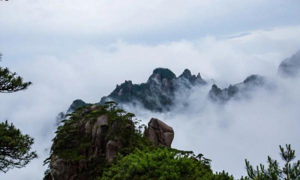 喜報！三清山景區榮獲2020年“中國5A級景區品牌影響力100強”