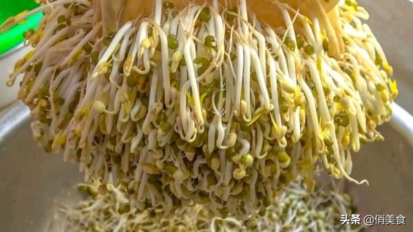 家庭自制綠豆芽,教你5個小秘訣,豆芽4天就能吃,安全衛生又營養 家庭自制綠豆芽,教你5個小秘訣,豆芽4天就能吃,安全衛生又營養