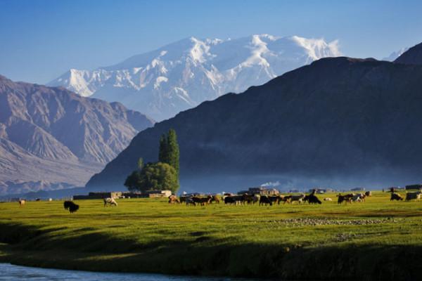 你想要來的新疆2022年是這樣的