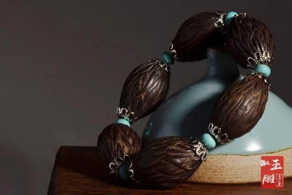 撿到種子,網友問是什麼?把過去培育的照片發一發 撿到種子,網友問是什麼?把過去培育的照片發一發