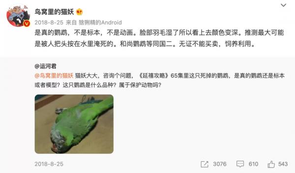 熱播新劇被疑虐殺動物，遭全網抵制：這世間，真的有因果報應