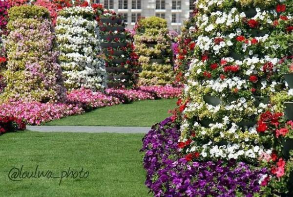 分享，最美花卉公園，收藏了