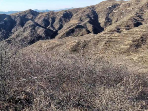 魯家峪的故事(2021－1129)