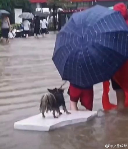 小生命也不應該被放棄