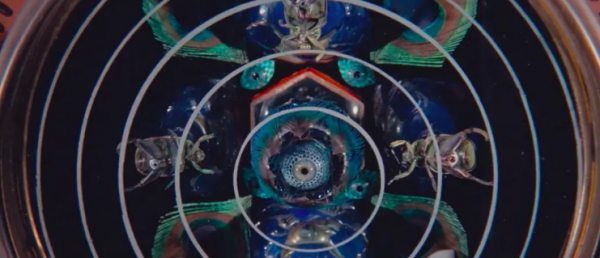 論想象力,我不是針對誰 論想象力,我不是針對誰