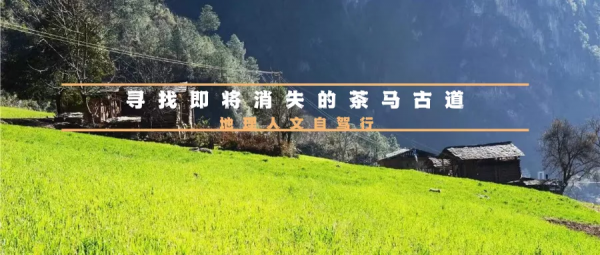 2022全年53條自駕路線上線，每一條都美哭了！你想要的，我們都有