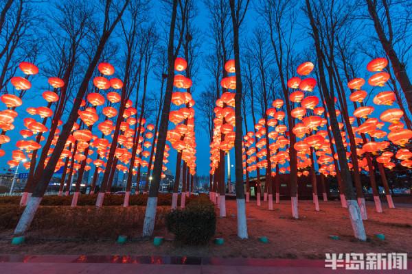 海濱燈籠高高掛